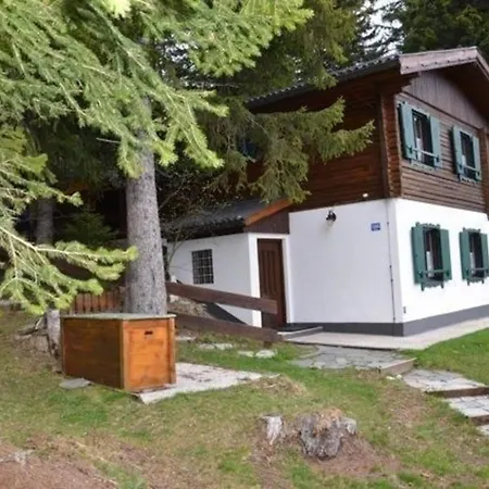 度假居 Almhaus Am Hohenwart In Klippitztoerl Klippitztorl